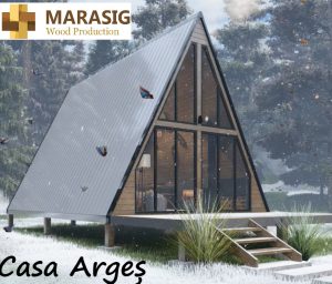 casa-tip-a-arges-1