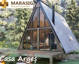 casa-tip-a-arges-2